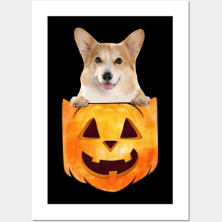 Corgi Dog In Pumpkin Pocket Halloween Posters and Art